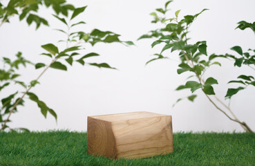 wood podium on grass with tree branch green leaf white space background.promotion beauty cosmetic and healthy natural product placement pedestal platform showcase display,spring or summer advertising.