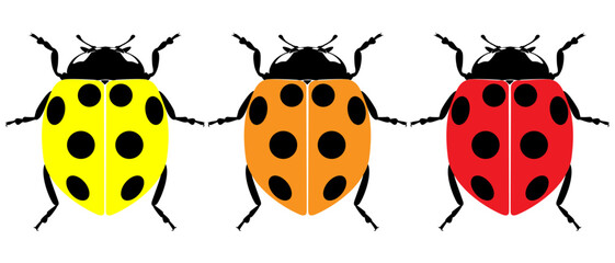 Obraz premium Cute ladybug or ladybird simple flat design red and black. Vector illustration on white background