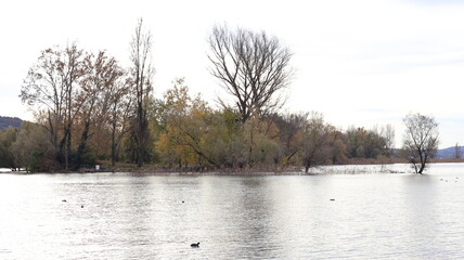 Isolino Partegora, Angera, Lombardy, Italy: In the autumn season with the sky grey, during the day.