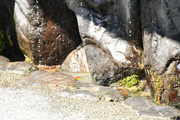 滴る水と石
