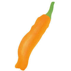 Charleston Hot Pepper, illustration cartoon design.