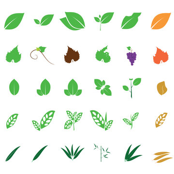 collection of leaf icons, vector design eps 10, for graphic and other needs