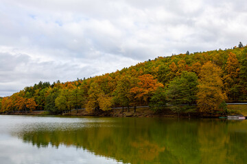 fall foliage forest reflecting in the still surface of lake water, Beautiful Autumn foliage colors above water.
