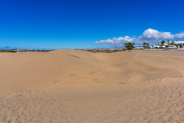 Fototapeta na wymiar Gran Canaria Maspalomas. Shot from the Dunes with Sand and Sun and the Beach.