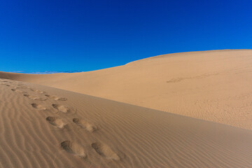Gran Canaria Maspalomas. Shot from the Dunes with Sand and Sun and the Beach.