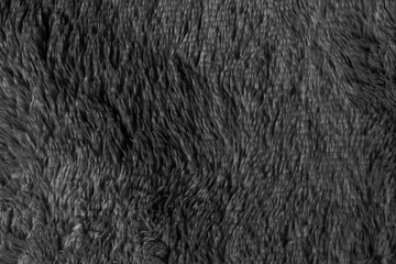 Black fur background texture. dark wool close up