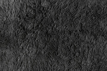 Black fur background texture. dark wool close up