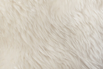 White natural fur background texture. wool close up