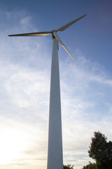 Panoramic views of the wind farm produces electricity from wind power.
