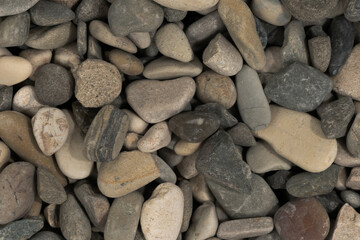 Nature sea pebbles background texture. natural aquarium soil. beach pebbles close up