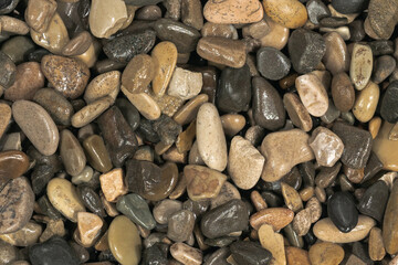 Nature wet sea pebbles background texture. natural aquarium soil. beach pebbles close up