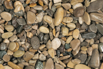 Nature wet sea pebbles background texture. natural aquarium soil. beach pebbles close up