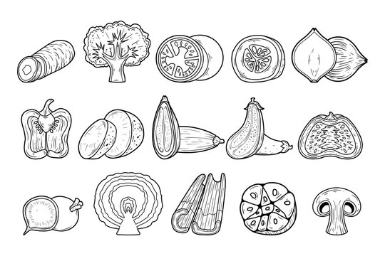Vegetable element hand-drawn vector outline sketch illustration set