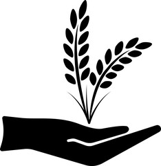 vector illustration of an ear of corn on a transparent background