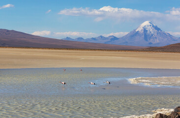 Lake in Bolivia