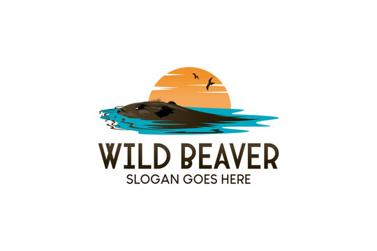 Logo design of wild beaver swimming in water with sun background