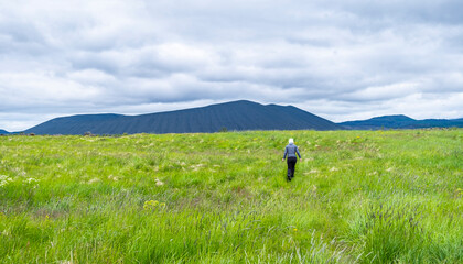 View from the South end of M&yacute;vatn Lake with Hverfjall Crater in Background, North Iceland - Europe - grass fields near Myvatn lake