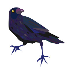 Raven. Vector isolated illustration.