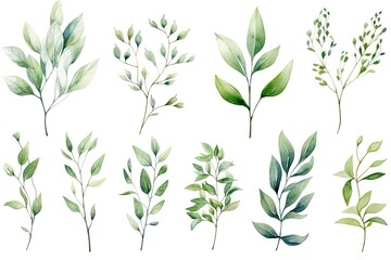 Watercolor set of eucalyptus branches and leaves, Watercolor floral illustration set - green leaf branches collection, AI Generated - Powered by Adobe