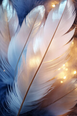 Close up of white feathers on blue background with lights.