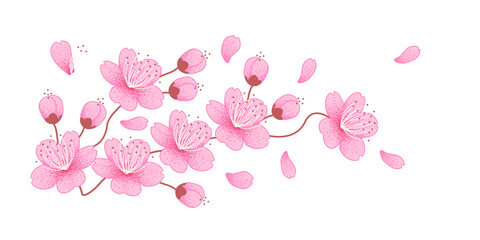 Cherry blossom branch with sakura flowers and buds. Falling petals on white background. Vector illustration symbolizing spring mood.
