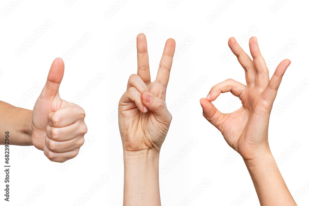 Wall mural Set of young woman's hands showing the thumb up, peace and ok gestures isolated on a white background. Positive and victory hand sign. Finger up