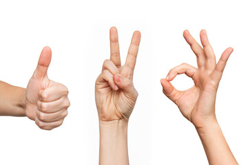 Set of young woman's hands showing the thumb up, peace and ok gestures isolated on a white background. Positive and victory hand sign. Finger up - obrazy, fototapety, plakaty