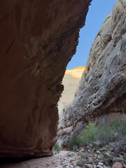 Large Overhang Blocks Out Much Of The Sky In Capitol Gorge