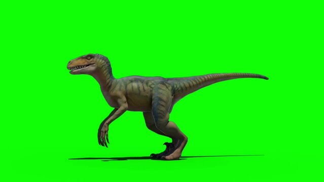 tyrannosaurus rex dinosaur