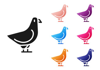 Black Dove icon isolated on white background. Set icons colorful. Vector