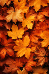 Naklejka na ściany i meble Autumn orange leaves fall background