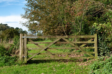 Wooden field gate
