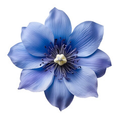 isolated illustration of blue exotic flower. Created with Generative AI - obrazy, fototapety, plakaty