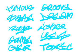 Collection of graffiti street art tags with words and symbols in light blue color on white background
