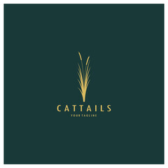 cattails or river reed grass plant logo design, aquatic plants, swamp, wild grass vector