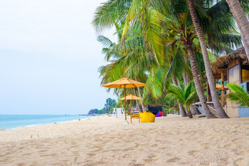 Tropical beach with palm trees and white sand on the seashore. Travel and tourism