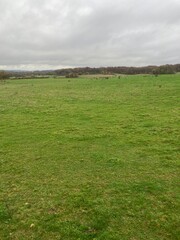 Champs &agrave; la campagne