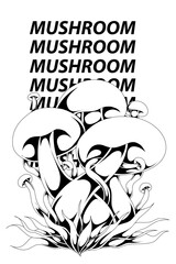 anime character design illustration