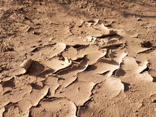 The ground is cracked due to the long dry season