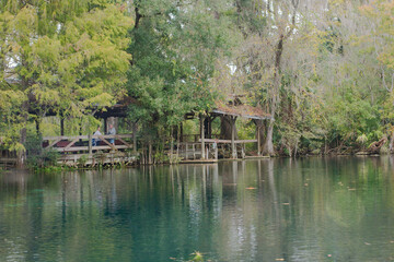 Obraz premium Low view across smooth lake towards an old wood dock on a cloudy day with palm trees, cypress trees and Spanish moss hanging down. Reflections of trees and sky in the water.
