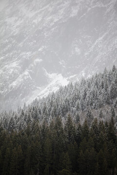 Winter is coming. Snow and frost gradient over the mountain landscape.