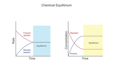 
Chemical equilibrium is a dynamic state where the rates of forward and reverse reactions are equal, resulting in a constant concentration of reactants and products.