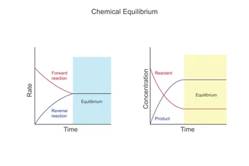 Fotobehang  Chemical equilibrium is a dynamic state where the rates of forward and reverse reactions are equal, resulting in a constant concentration of reactants and products. © Sandip