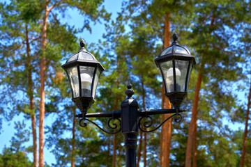 Fototapeta na wymiar Two street lamps, lighting in a public park