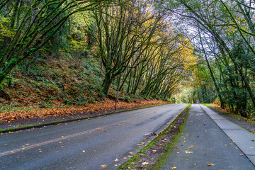 Late Autumn Landscape 11