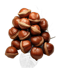 the Nutty Code: Beautiful Nuts on a Clear Canvas