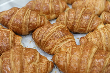 Baking croissants in a small bakery