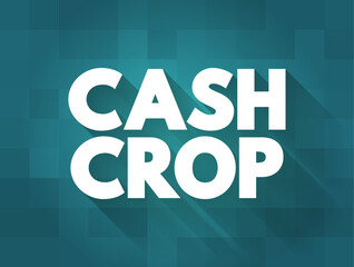 Cash Crop is an agricultural crop which is grown to sell for profit, text concept background