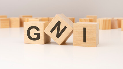 three wooden cubes with GNI symbols on them. white background. in the background there are many wooden blocks of different sizes