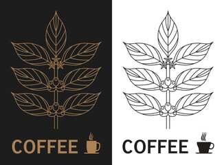 vector vintage illustration of coffee branch